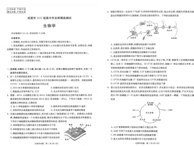 成都零诊​生物考试试卷+答案2025