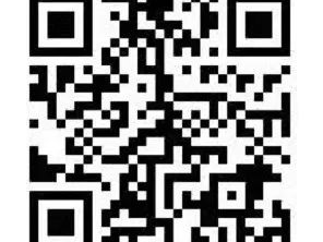 2025北京平谷国际桃花节交友活动攻略（时间+亮点+参与方式）