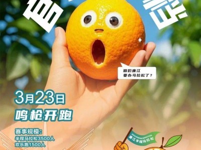 2025首届廉江半程马拉松(比赛时间+规模)