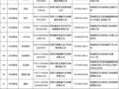 2025西咸新区新能源汽车消费补贴活动（时间+标准）