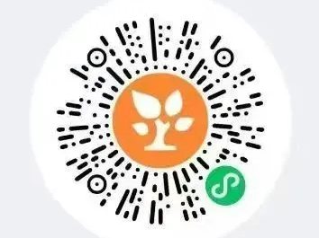 2025郑中国际学校新七年级补录公告