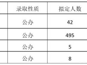 2025年岭南师范学院附属中学高中招生简章