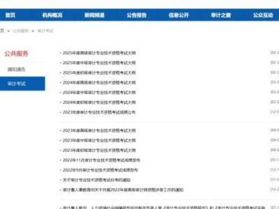 2025海南审计师专业技术资格考试大纲