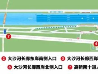 2025深圳南山大沙河龙舟赛观赛攻略（交通+直播+看点）