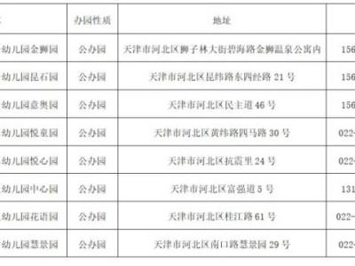 2025年天津河北区幼儿园名单汇总