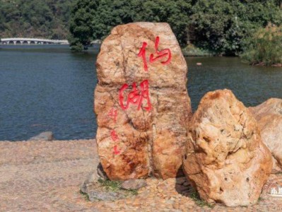 深圳仙湖植物园12月开放吗