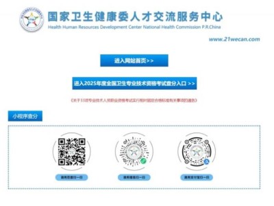 2025年度卫生专业技术资格考试成绩查询流程