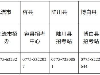 2025年玉林中考志愿填报方式