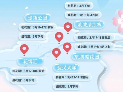 武汉樱花花期预报2025(持续更新)