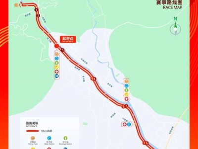 2025温州平阳10公里大众等级达标赛时间+地点
