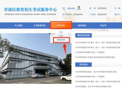上海青浦区中考录取结果查询官网入口(附网址）