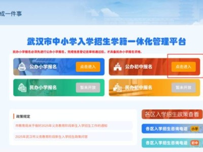 2025武汉市武钢实验学校电脑派位方案公布