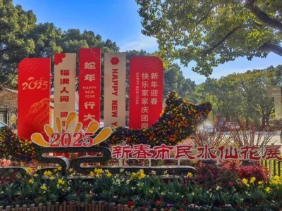 2025上海水仙花展攻略(时间+地点+门票+交通)