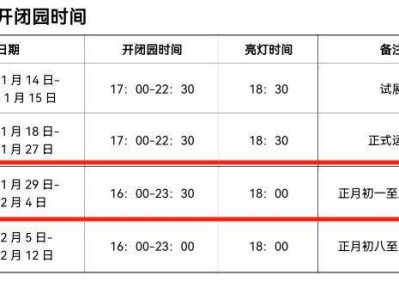 自贡灯会大年三十(除夕)亮灯吗?