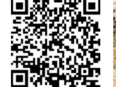 2025年郑州裕华幼儿园秋季招生指南