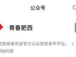 肥西县2025暑假大学生返家乡社会实践活动（时间+入口）