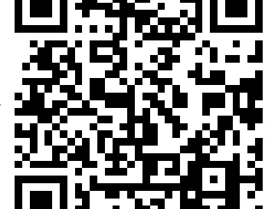 2025中山南区秋季公办学校插班报名需要提交什么材料？