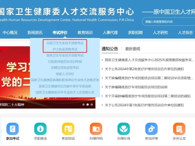2025卫生专业技术和护士执业考试准考证打印时间+入口