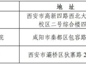 2025上半年陕西省全国计算机应用水平考试报名公告