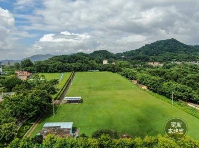 深圳光明农场五一开放吗