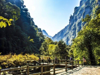 2025重庆万盛黑山谷景区世界森林日免门票活动时间+内容