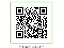 2025陕西宝鸡银杏音乐节志愿者招募(时间+入口)