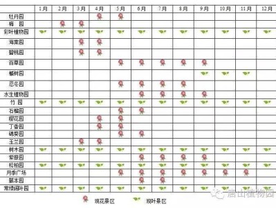 2025唐山玉兰花去哪赏?