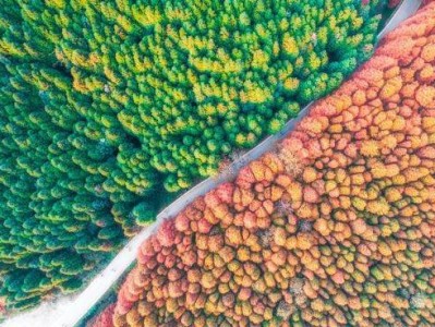 2025重庆山王坪旅游攻略（最佳观赏时间、路线、周边耍事）