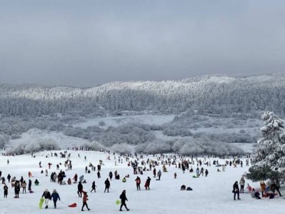 2025重庆仙女山下雪最新消息(持续更新)