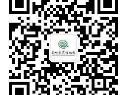 西安秦岭国家植物园赏牡丹花攻略(时间+地点+交通)