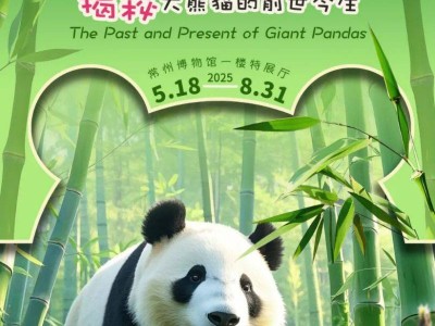 2025常州博物馆熊猫科普特展活动指南(最新)