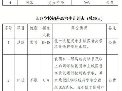 2025年西南联大研究院附属学校体育特长生