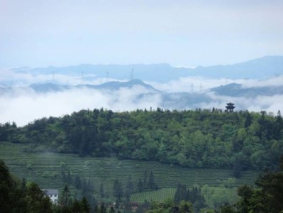 重庆武隆白马山天尺情缘景区游玩攻略(介绍+开放时间+交通)