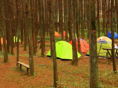 南川山王坪露营攻略（时间、费用、联系方式）