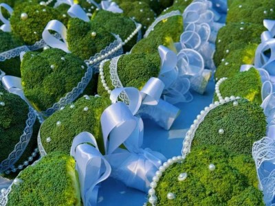 以书会友-读书分享会时间+地点+活动内容