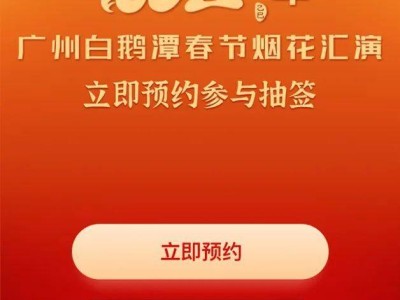 2025广州春节烟花什么时间公布中签结果?(附查询入口)