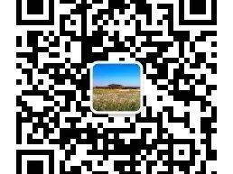 2025二里头夏都遗址博物馆牡丹文化节期间开放公告