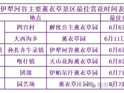 2025年伊犁河谷薰衣草花期预报