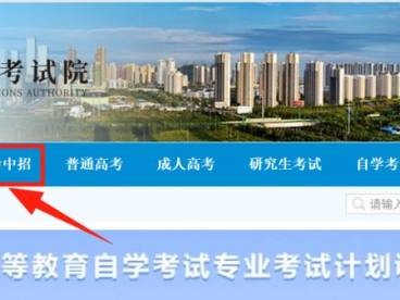 2025年合肥市市区中考录取结果查询（hf.hfzsks.org）