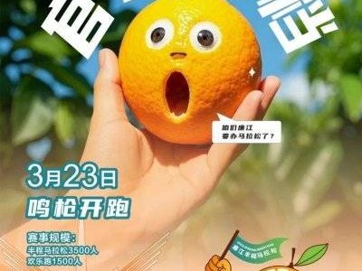 2025湛江廉江半程马拉松比赛时间什么时候
