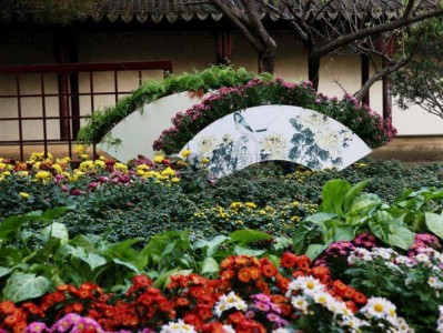 2025苏州留园茶花展时间(附购票入口)
