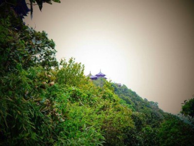 杭州有哪些适合野餐的公园(交通+门票+开放时间)