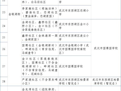 武汉东西湖区小学初中学区划分表2025