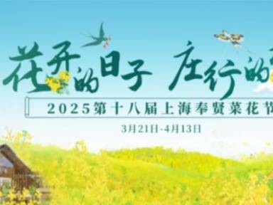 2025上海第十八届奉贤菜花节活动攻略(时间+活动攻略)