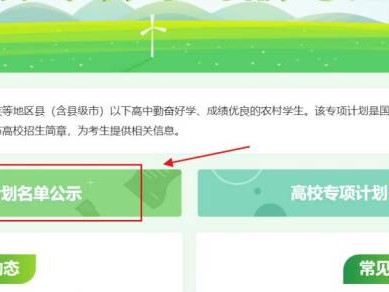 2025重庆重点高校专项计划审核结果公布时间+查询入口