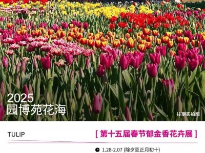 厦门园博苑春节花展时间一览表
