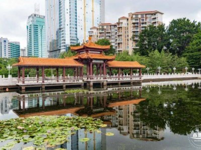 深圳荔枝公园有荷花吗