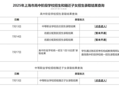 上海市教育考试院官网中考录取结果查询2025