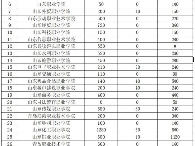 山东省2025年高职(专科)单独考试招生计划限额
