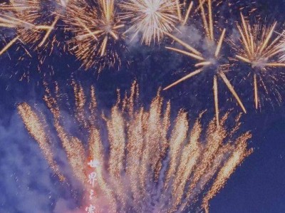 2025年深圳世界之窗春节烟花时间表